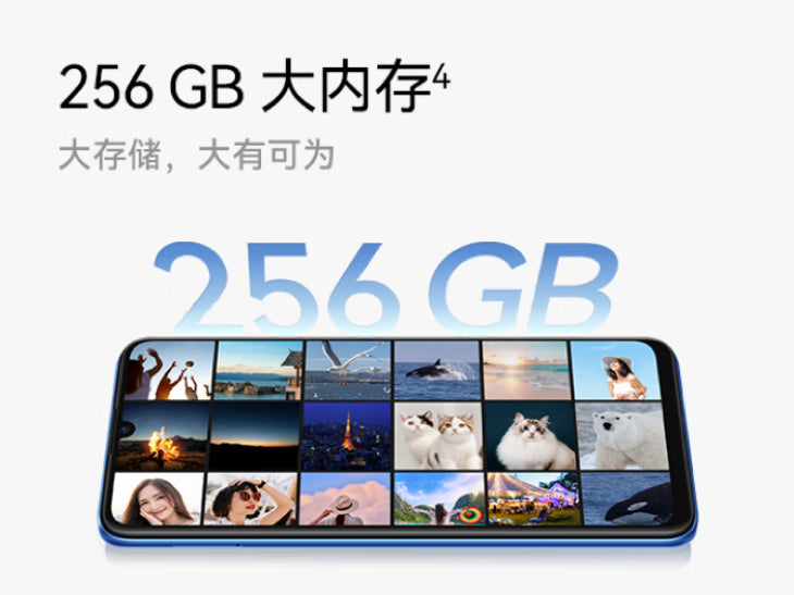 【HUAWEI 華為】 70z 智慧手機