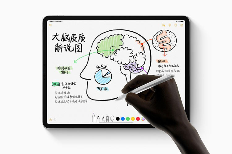 【Apple】iPad Pro(12.9 英寸,第 3 代,USB-C)