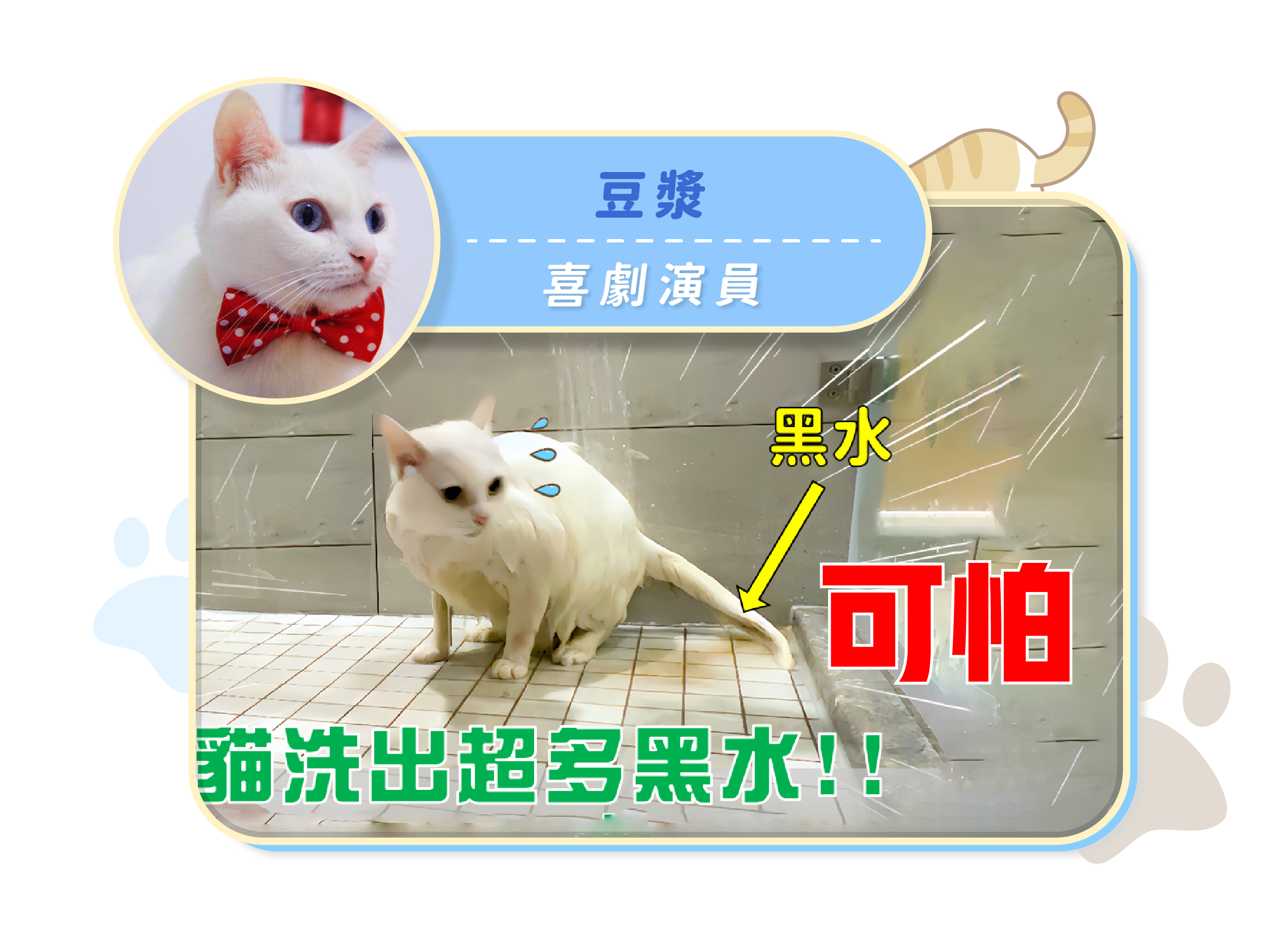 載入影片：