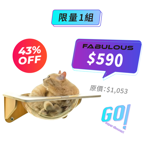 【怪獸部落】吸盤式貓吊床(壓克力款)
